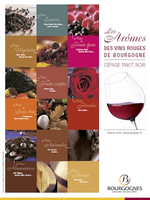 Poster arômes Pinot Noir